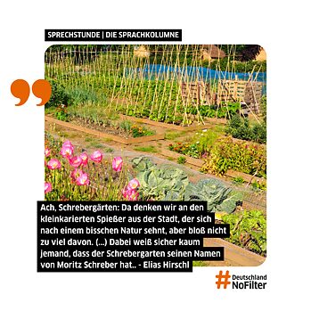 Visual für Artikel in der Sprachkolumne auf #DeutschlandNoFilter