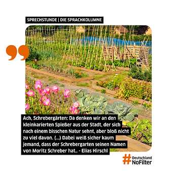 Visual für Artikel in der Sprachkolumne auf #DeutschlandNoFilter