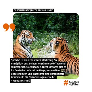 Die Kunst der Beleidigung