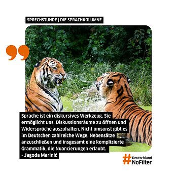 Die Kunst der Beleidigung