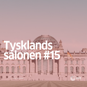 Visual til Tysklandssalonen #15