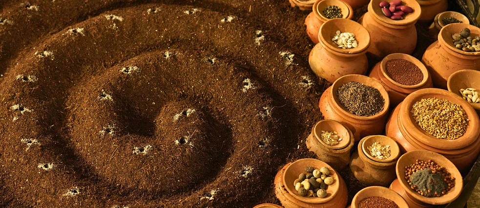Seed Stories Exhibition