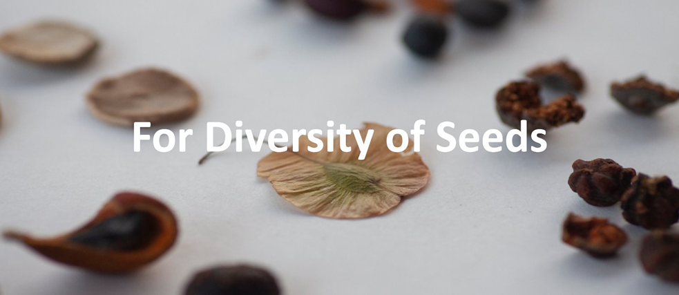 Seed Stories Residency 