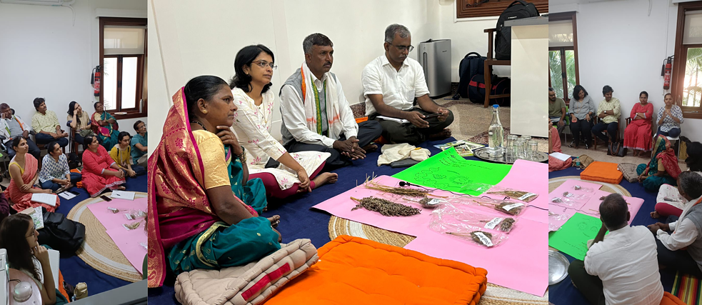 Seed Stories Residency