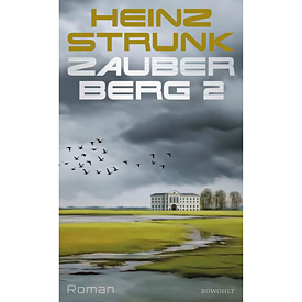 Buchcover Zauberberg 2
