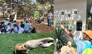 A group of pupils at Pasha Farms