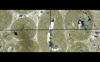 Renata Haar und Karim Aïnouz, War and Debauchery, 2017, Digitale Video- und Bildbearbeitung