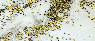 Toxic Doubles Discussion