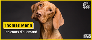  Hund der schief guckt 