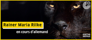 Ein Panther im Hintergrund 