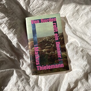 Foto von dem Buch Von Norden rollt ein Donner
