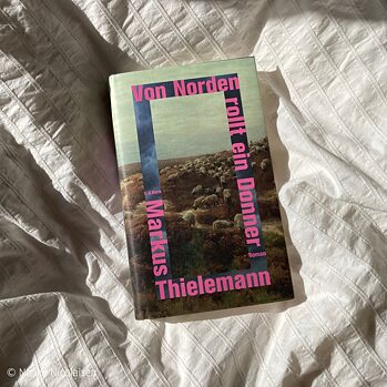 Foto af bogen Von Norden rollt ein Donner af Markus Thielemann