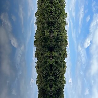 A imagem mostra um reflexo vertical de uma floresta densa e verde contra um céu azul com nuvens dispersas. O reflexo cria um efeito simétrico, fazendo parecer que a floresta está refletida ao longo do eixo central.