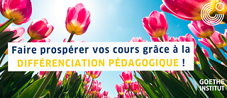 Visual Binnendifferenzierung 