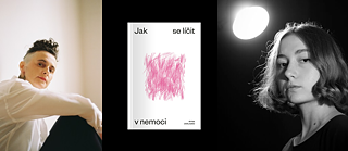 Iryna Zahladko: Jak se líčit v nemoci (Wie man sich bei Krankheit versöhnt)