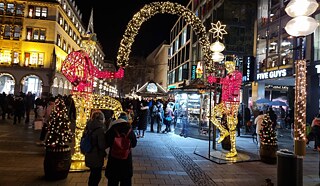 Stipendienbericht Eyal Geller München