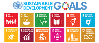 sustainable development goals