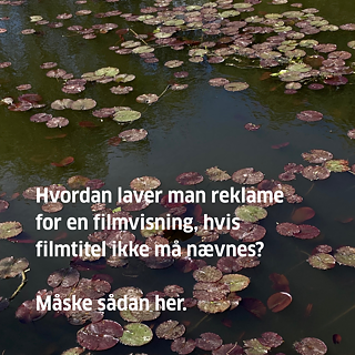 Tysk Filmklub: Sommerafslutning