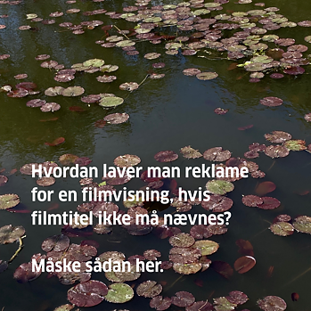 Tysk Filmklub: Sommerafslutning