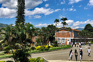 Ein Schulgebäude mit großer Parkanlage