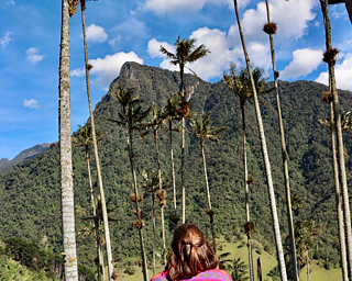 Eine junge Frau blickt hoch in die Palmenkronen.