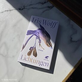 Iris Wolff: Lichtungen