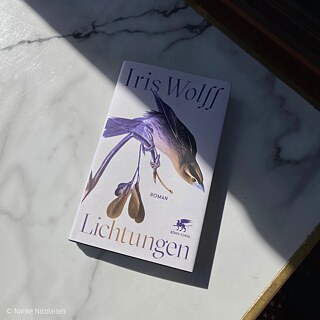 Iris Wolff: Lichtungen