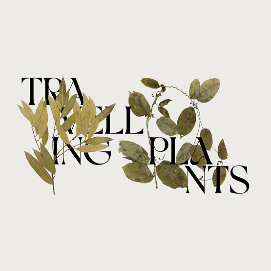 Travelling Plants (square)