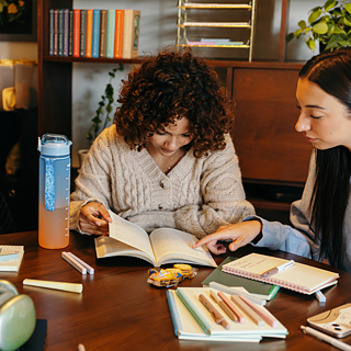 College students studying