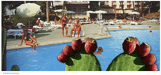 A part of a cactus in the front with an outdoor pool and pool guests in the background
