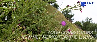 ZOÖP Connections