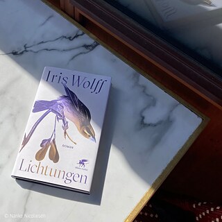 Foto von dem Buch Lichtungen 