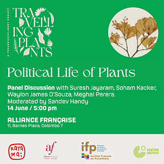 Discussion: Political Life of Plants (square)