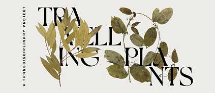 Travelling Plants (GI Website)
