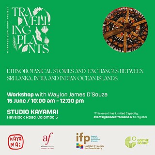 Workshop: Ethnobotanical Stories and Exchanges Between (square)