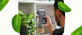 شاب يقف بظهره وينظر في هاتفه المحمول، وربما يستخدم تطبيقًا، بينما تقف أمامه مجموعة من النباتات داخل مكتبة هادئة