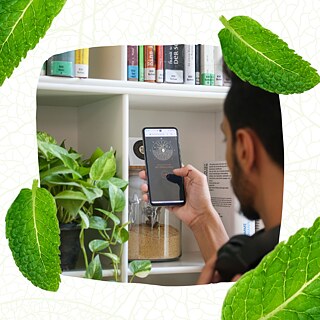 شاب يقف بظهره وينظر في هاتفه المحمول، وربما يستخدم تطبيقًا، بينما تقف أمامه مجموعة من النباتات داخل مكتبة هادئة.