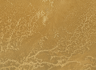 Artist: Anuja Dasgupta, „Elemental Whispers“, 2022