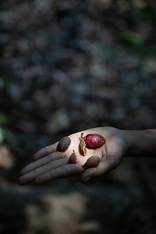 Artist: Abhijit Patil, Farmers of the forest, 2024