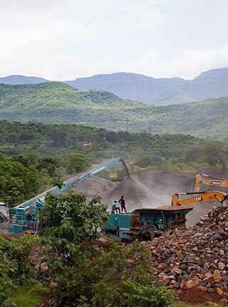 Artist: Abhijit Patil, Antiaris seeds, June 2024