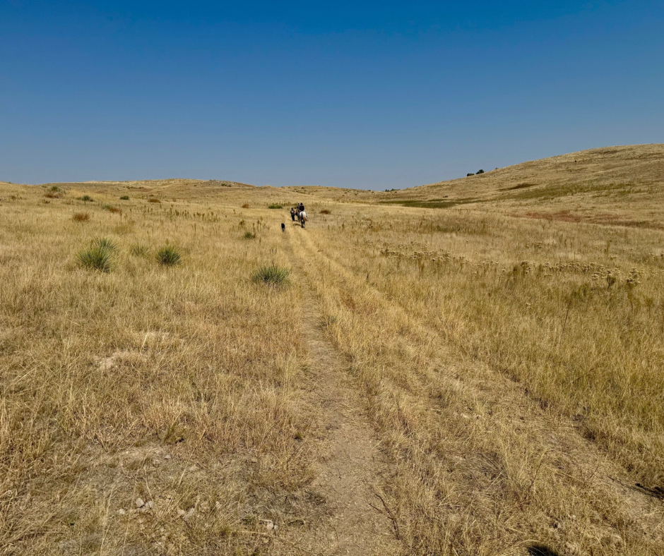 Photo of a prairie in Pine Ridge Reservation