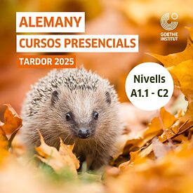 Deutschkurse Herbst 2025