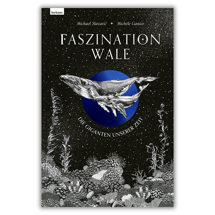 Stavarič / Ganser: Faszination Wale (Buchcover)