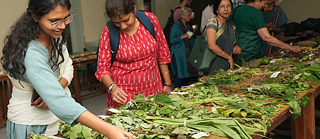 Symposium Seed Stories