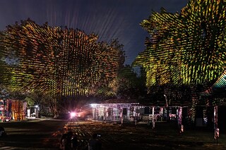 Before Seeds see the light (Photo 3)