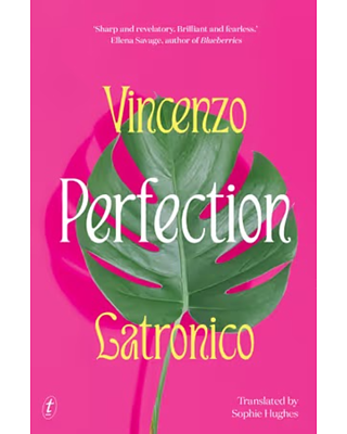 Perfection Book Cover