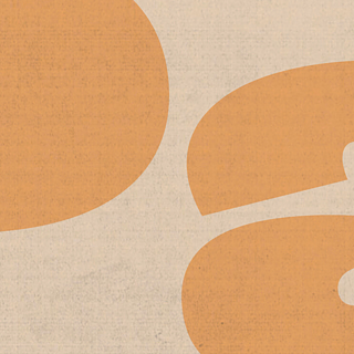 The Disappearing Public Sphere and Autocratic Legalism