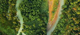 SFF 2025_Heart of the Osa