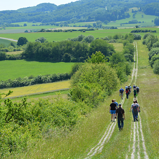 image of German countryside with remains of wall division