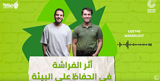 Schmetterlingseffekt